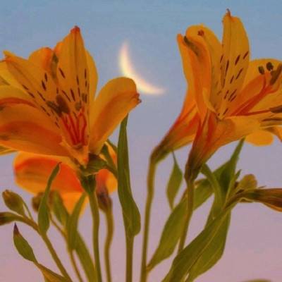 爱体育官方手机app下载截图