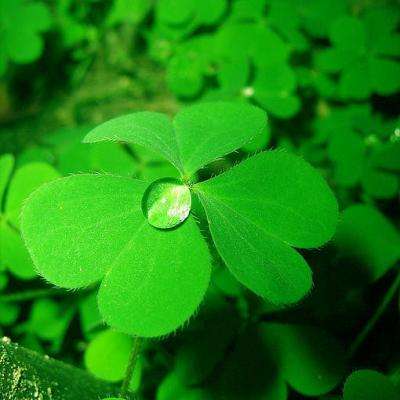 万博max体育官网手机版